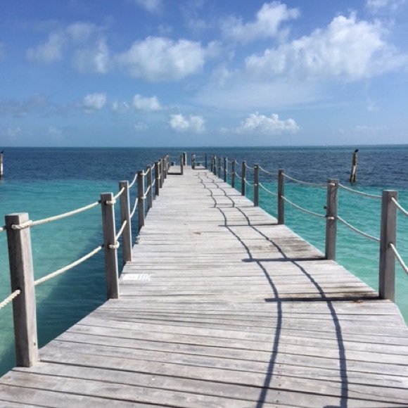 Meet your Posher, Robin - Picture 4 of 5